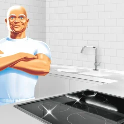 Allesreiniger Spray Citroen 800 ml^Mr. Propre Outlet