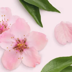 Allesreiniger<Mr. Propre Allesreiniger Sakura Bloesems 1 liter