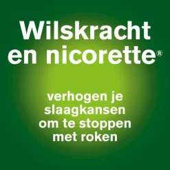 New Mondspray Fruit & Mint 1mg Duo 2 stuks Stoppen Met Roken