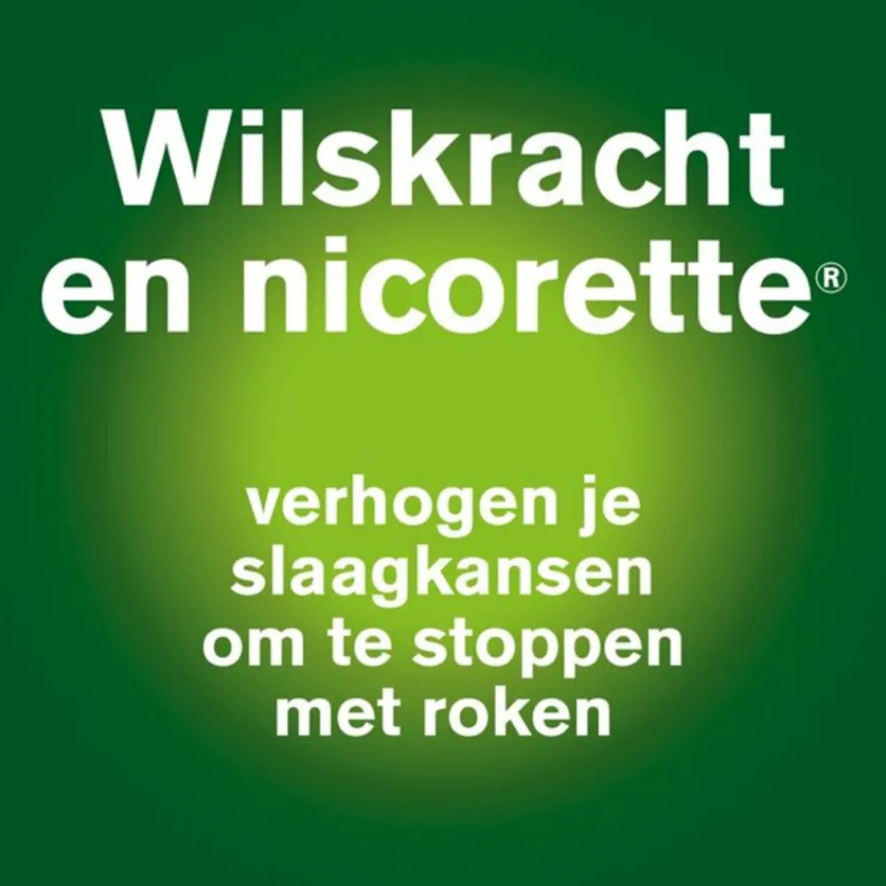 New Mondspray Fruit & Mint 1mg Duo 2 stuks Stoppen Met Roken