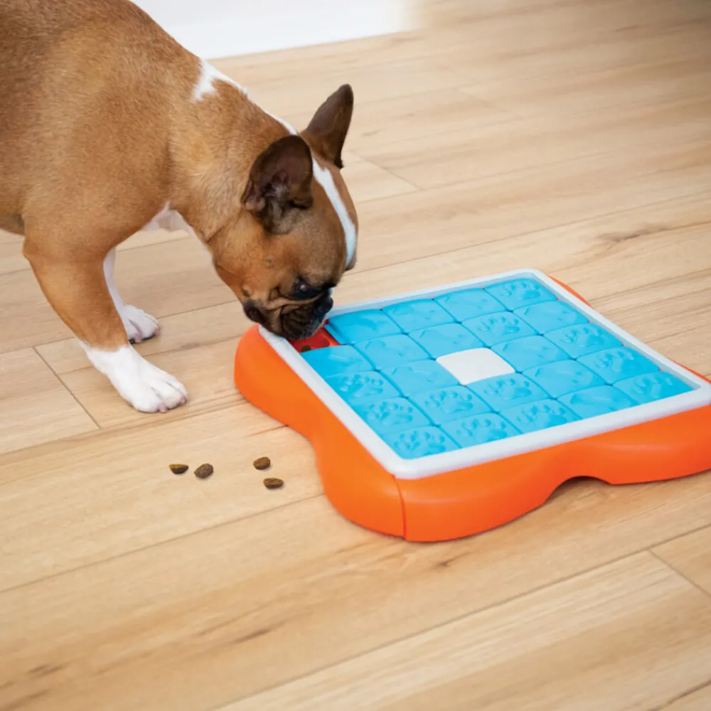 Hondenspel Challenge Slider 38 cm^Nina Ottosson Clearance