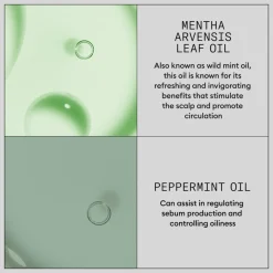 Haarstyling<Nioxin Hair Booster Serum 100 ml