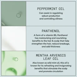 Root Lifting Spray 150 ml^Nioxin Discount