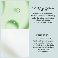 Strong Hold Haarspray 300 ml Haarstyling