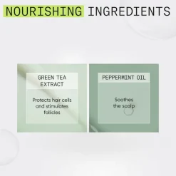 System 2 Conditioner 300 ml^Nioxin Hot