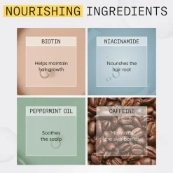 Haarverzorging<Nioxin System 1 Trial Kit 3 stuks