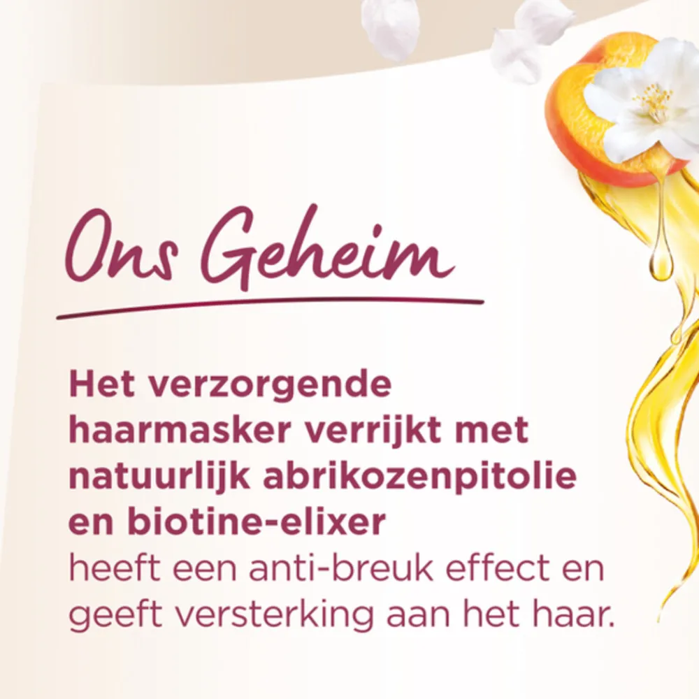 Haarkleuring<Palette Vital Care 5-0 Middenbruin