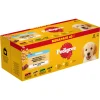 Online Junior Hondenvoer in Gelei Mix Selectie Maaltijdzakjes Multipack 40x100 gr Hondenvoer