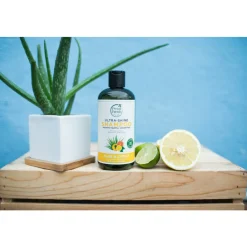 Aloe & Citrus Shampoo 475 ml^Petal Fresh Sale