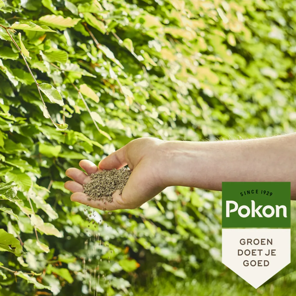 Grond En Bemesting<Pokon Beuken & Hagen Mest 2,5 kg
