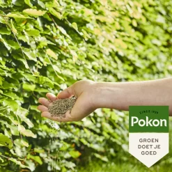 Online Beuken & Hagen Mest 10 kg Grond En Bemesting
