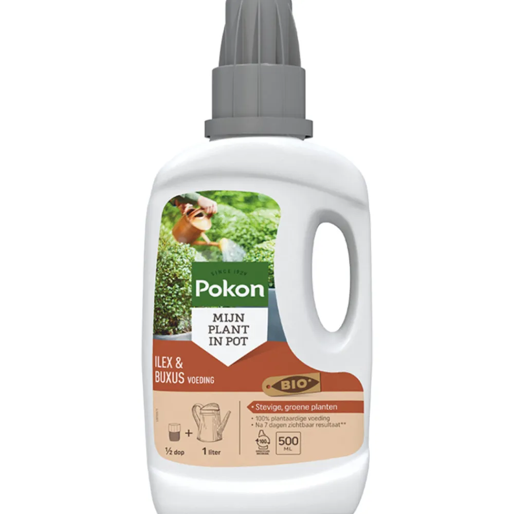 Grond En Bemesting<Pokon Bio Buxus & Ilex Voeding 500 ml