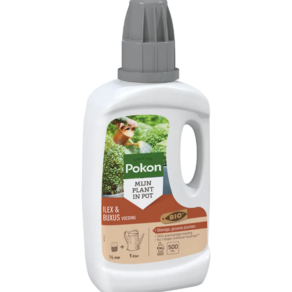 Grond En Bemesting<Pokon Bio Buxus & Ilex Voeding 500 ml