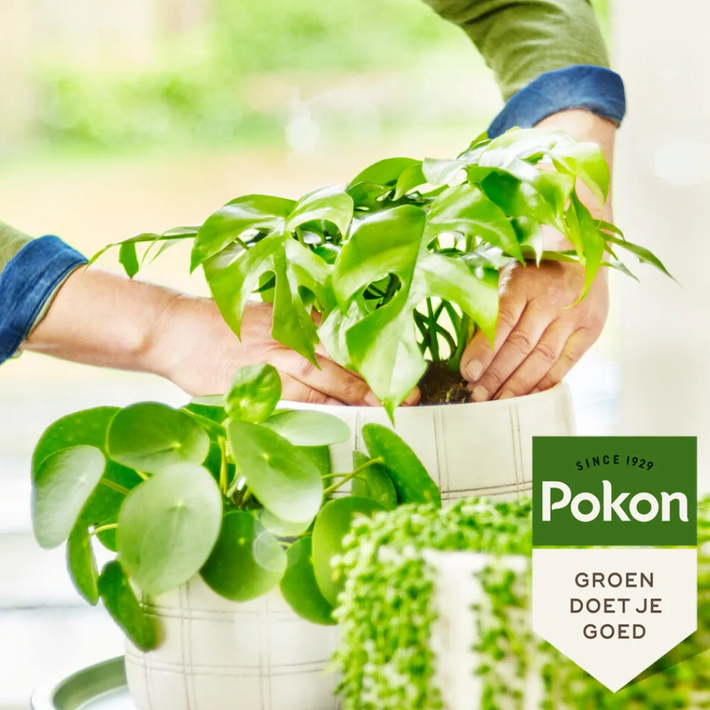 Bio Groene Planten Voeding 250 ml^Pokon Outlet