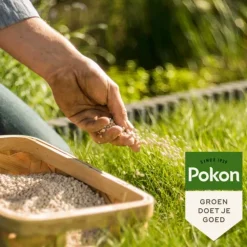 Grond En Bemesting<Pokon Bio Kalk 10 kg