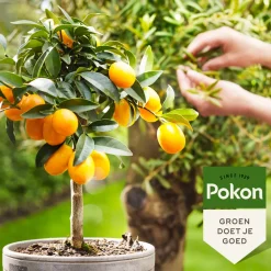 Bio Mediterrane Planten Voeding 500 ml^Pokon Hot