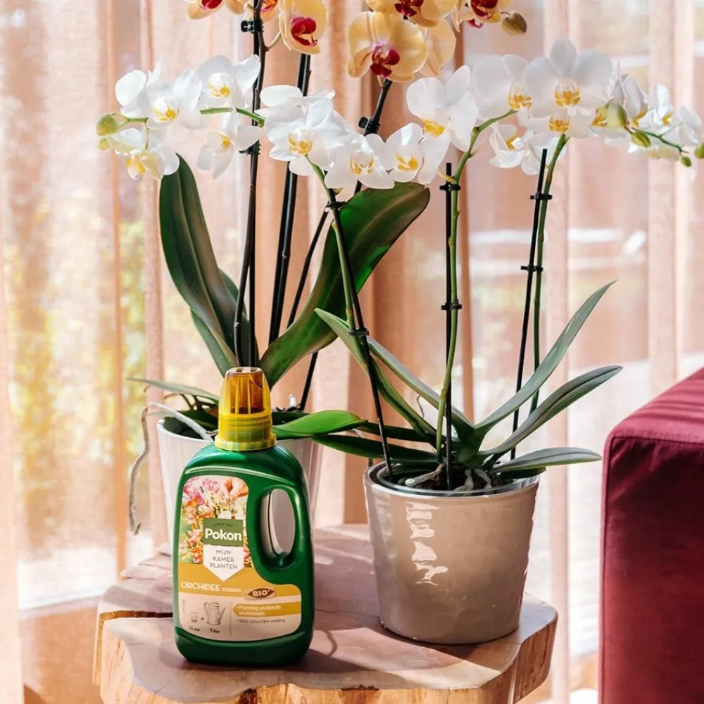 Grond En Bemesting<Pokon Bio Orchidee Voeding 250 ml