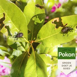 Bio Tegen Insecten en Kevers 20 liter^Pokon Best