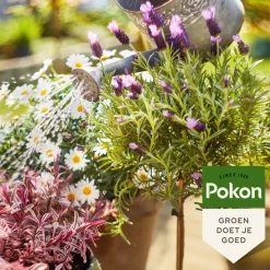 Grond En Bemesting<Pokon Bio Terras & Balkon Planten Voeding 1 liter