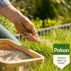 Best Biologische Kalk 5 kg Grond En Bemesting