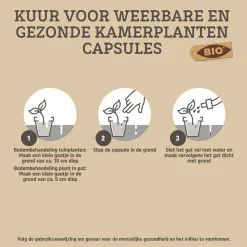 Best Biologische Kuur Voor Weerbare en Gezonde Planten Capsules 12 stuks Alles Voor Kamerplanten