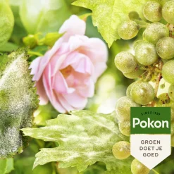 New Biologische Kuur voor Weerbare en Gezonde Rozen Spray 750 ml Grond En Bemesting|Alles Voor Kamerplanten