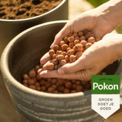 Alles Voor Kamerplanten<Pokon Hydrokorrels 10 liter