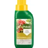 Planten Voeding Anthurium 500 ml^Pokon Clearance