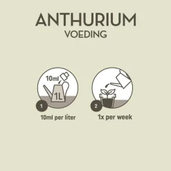 Planten Voeding Anthurium 500 ml^Pokon Clearance