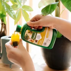 Sale Plantenvoeding Kamerplanten 500 ml Grond En Bemesting|Alles Voor Kamerplanten