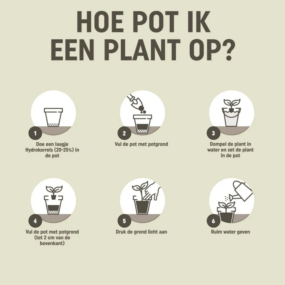 Grond En Bemesting|Alles Voor Kamerplanten<Pokon Potgrond Kamerplanten 20 liter