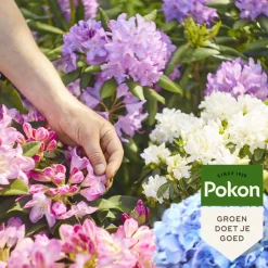 Grond En Bemesting<Pokon Rhododendron, Hortensia en Azalea Mest 1 kg