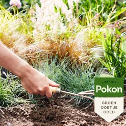 Best Siergrassen & Bamboe Mest 1 kg Kweken En Zaden