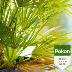 Clearance Tegen Hardnekkige Insecten Concentraat 'Polysect' Biologisch 175 ml Alles Voor Kamerplanten|Insecten & Ongedierte