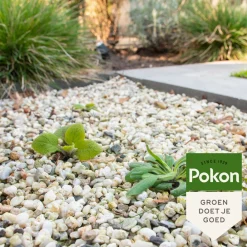 Onkruidbestrijding<Pokon Tegen Onkruid Concentraat 225 ml