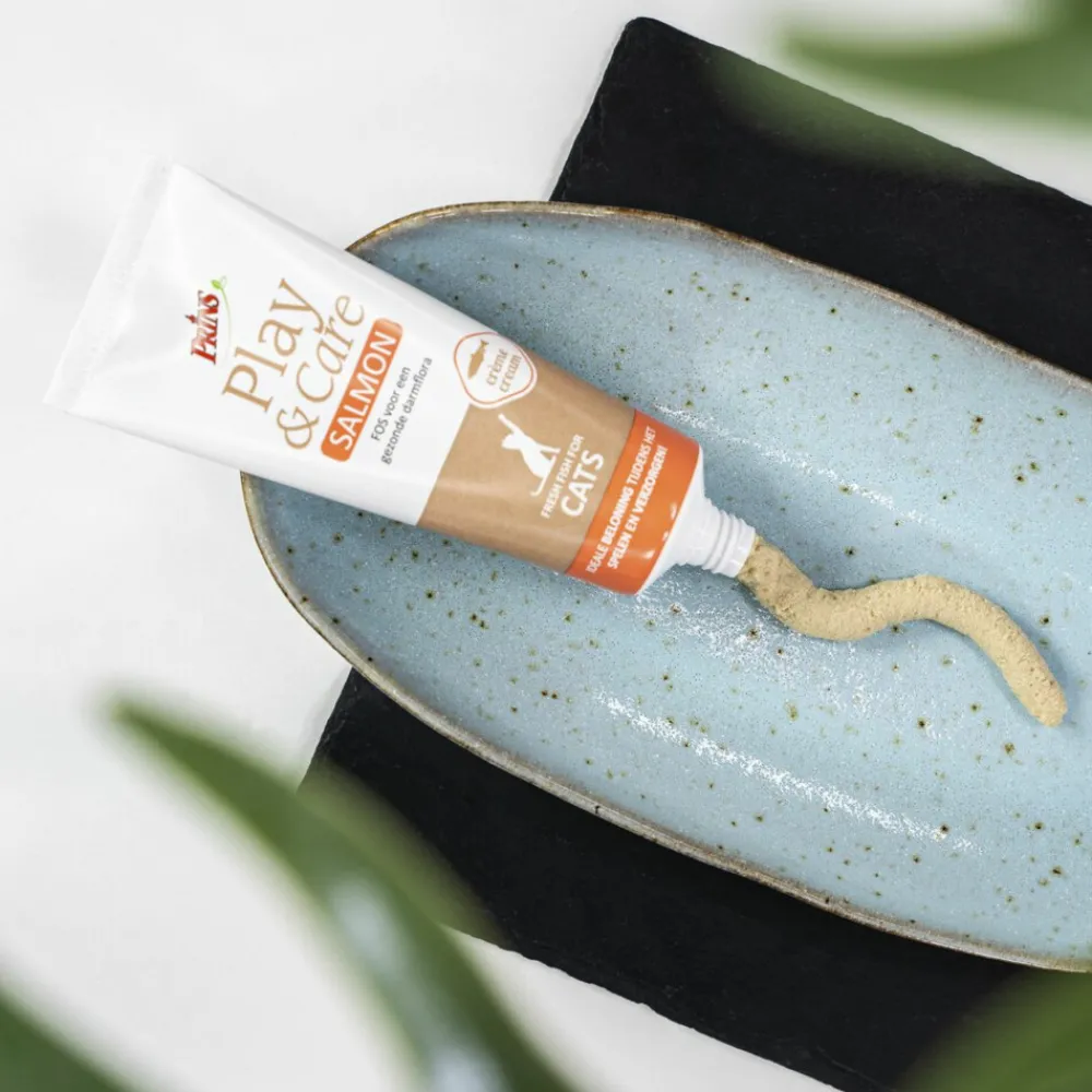 Play & Care Kattensnacks Zalm 75 gr^Prins New