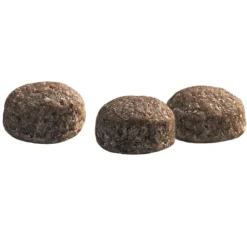 Online Protection Croque Mini Senior Fit Hondenvoer 2 kg Hondenvoer