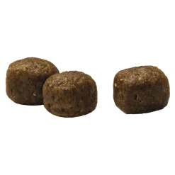 VitalCare Adult Maxi Kattenvoer 1,5 kg^Prins New