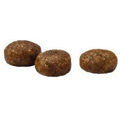 VitalCare Kitten Kattenvoer 400 gr^Prins Online