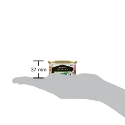 Sale Cat Blik Paté Sterilised Zalm & Tonijn 85 gr Kattenvoer