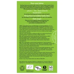 Thee Clean Matcha Green 20 stuks Thee