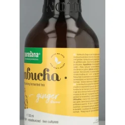 Discount Kombucha Drank Gember Bio 330 ml Thee