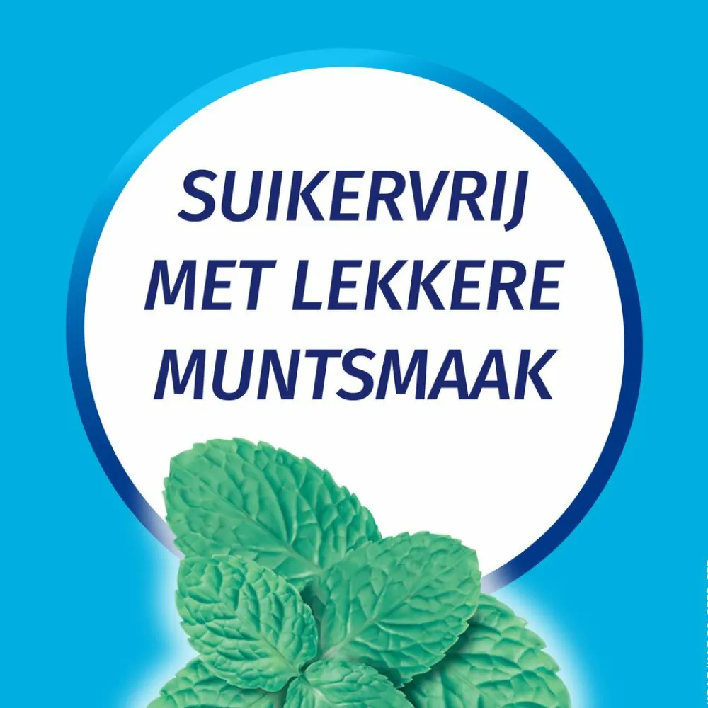 Kauwgom Calciumcarbonaat 750mg Suikervrij 10 stuks^Rennie Outlet