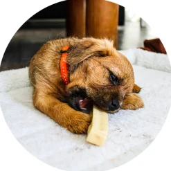 Chhurpi Himalayan Kauwkluif XS 27 gr^Renske Sale