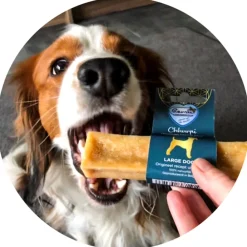 Snacks<Renske Chhurpi Himalayan Kauwkluif L 90 gr