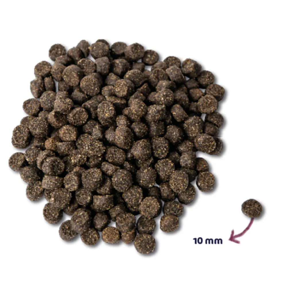 Mighty Omega-3 Plus Hondenvoer Lam 600 gr^Renske Online