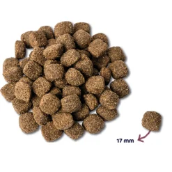 Mighty Omega-3 Plus Hondenvoer Kip 600 gr^Renske Best