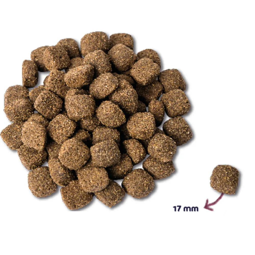 Mighty Omega-3 Plus Hondenvoer Kip 600 gr^Renske Best