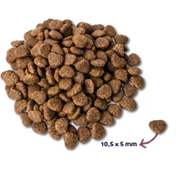 Super Premium Adult Kattenvoer Eend 6 kg^Renske Online