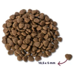 Kattenvoer<Renske Super Premium Adult Kattenvoer Zalm 1,5 kg